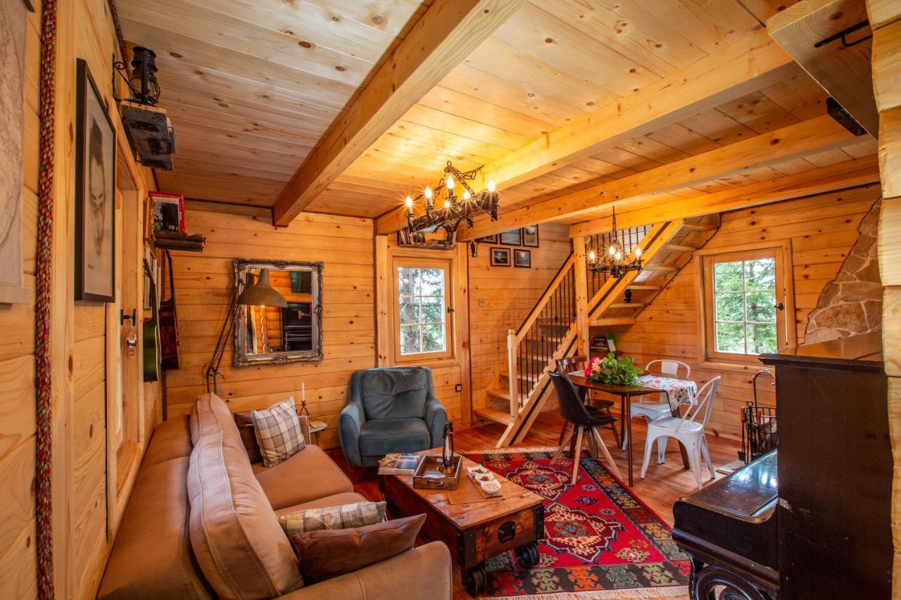 Villa Piccolo Orso Zabljak  Ngoại thất bức ảnh