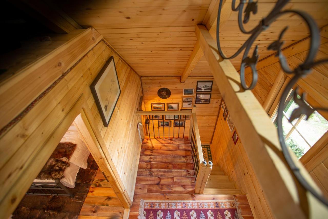 Villa Piccolo Orso Zabljak  Ngoại thất bức ảnh