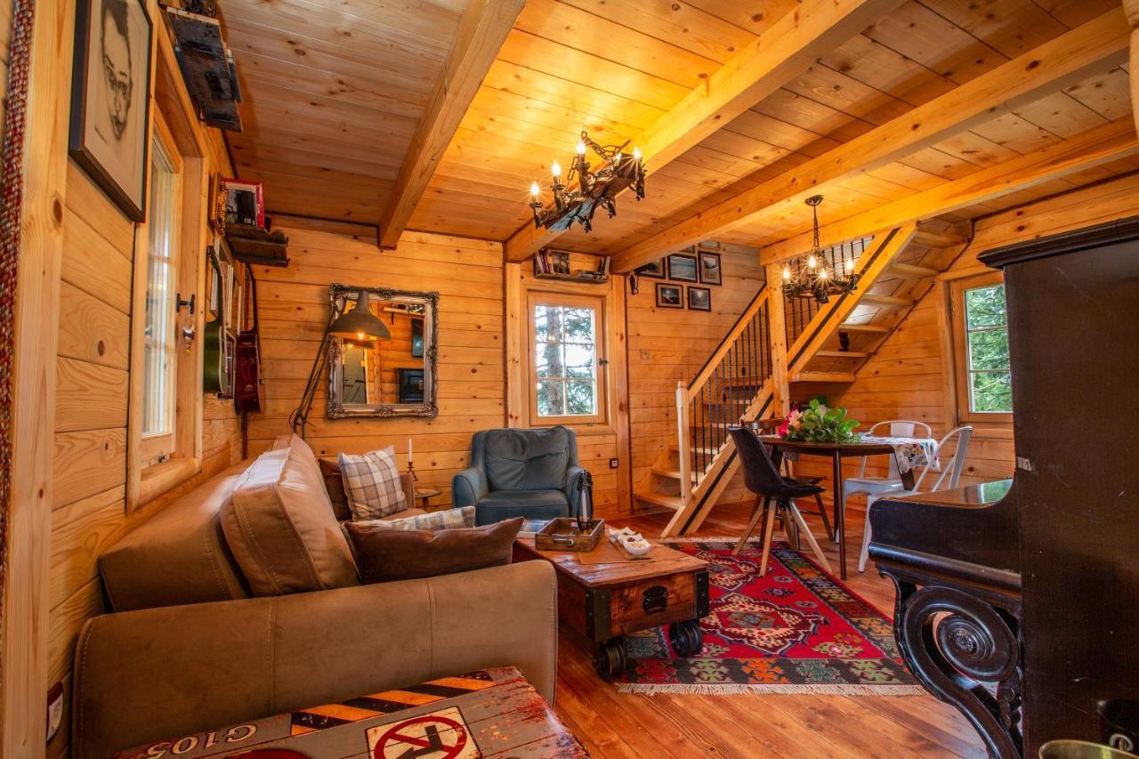 Villa Piccolo Orso Zabljak  Ngoại thất bức ảnh