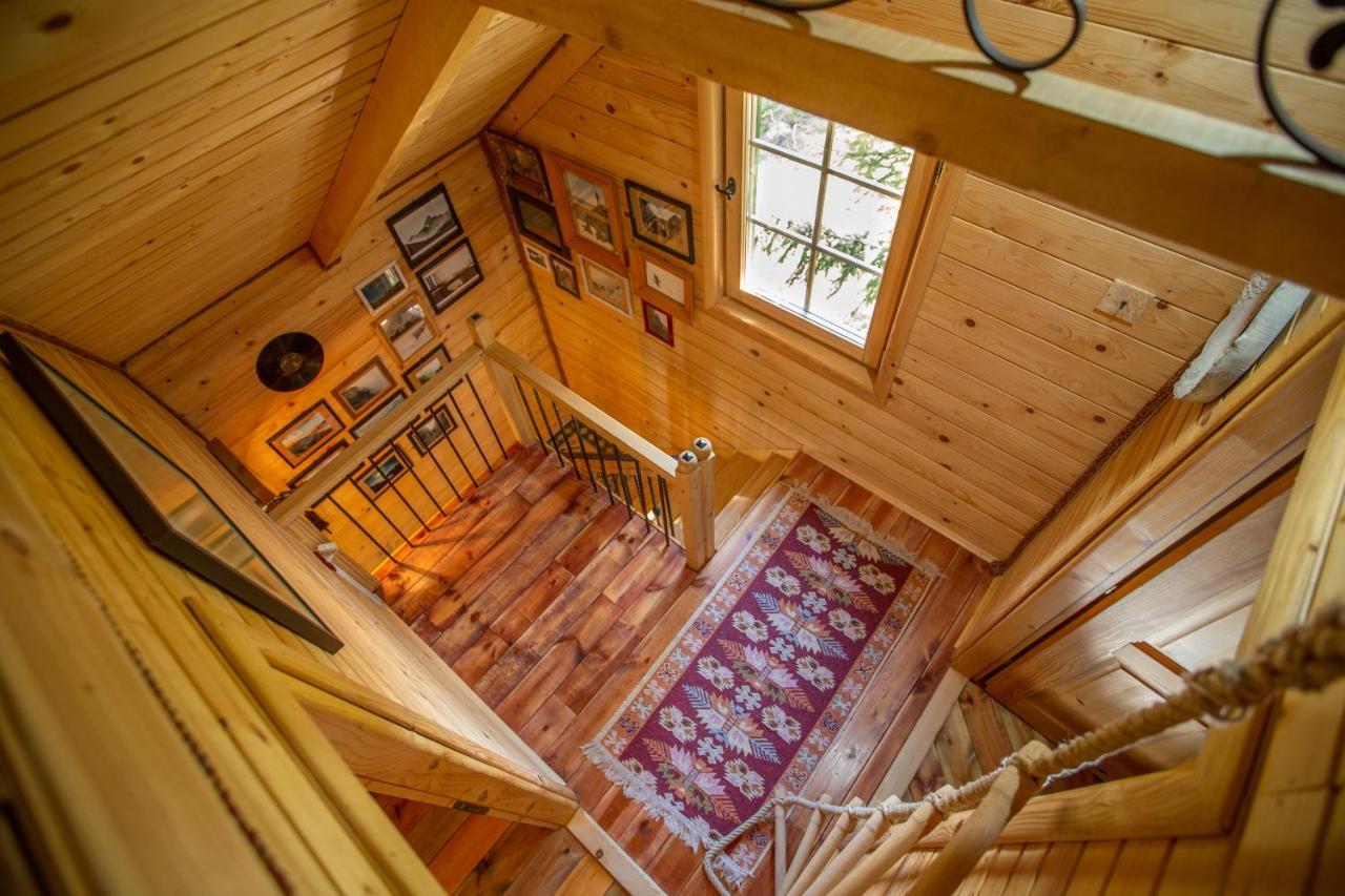 Villa Piccolo Orso Zabljak  Ngoại thất bức ảnh